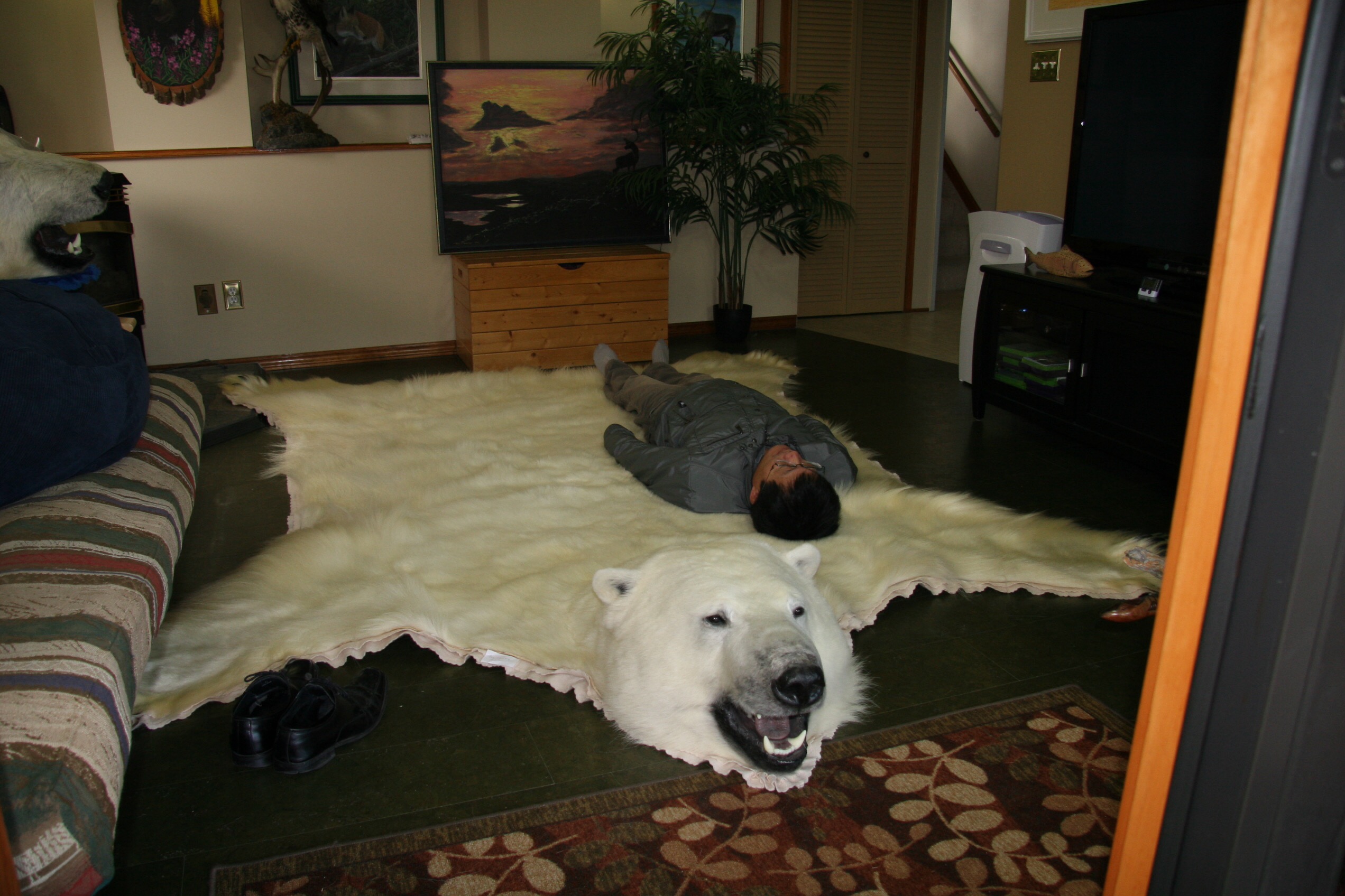 大型北极熊皮